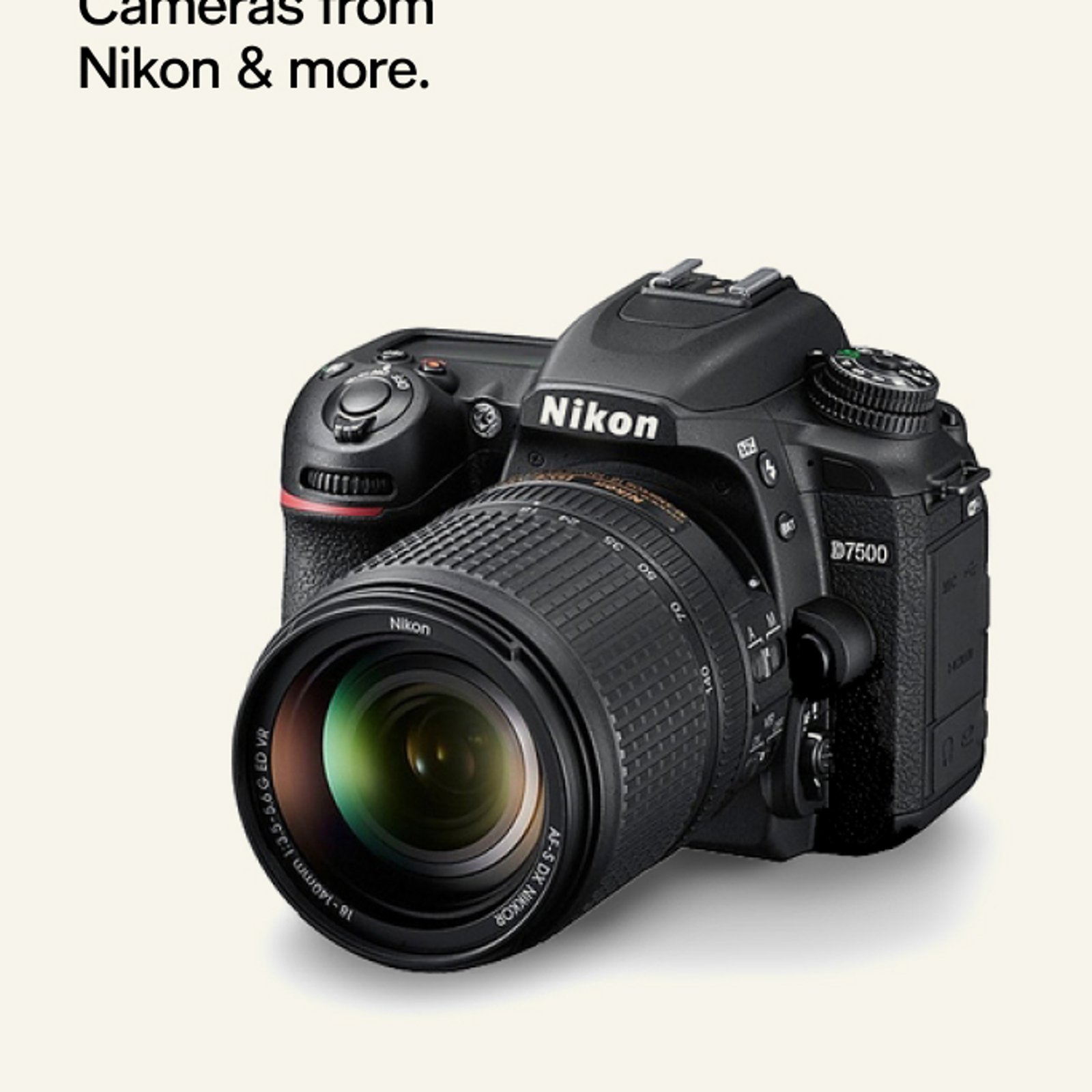 10-20% off cameras